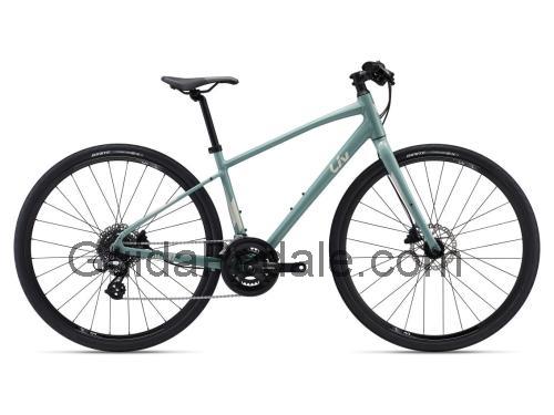 Giant Alight 2 scheda tecnica e recensioni